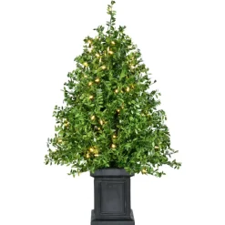 Fraser Hill Farm Boxwood Porch Tree In Black Pot With Warm White Lights, Set Of 2 Best