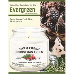 Courtside Market Fresh Farm Trees Wax Infused Candle With Glass Lid Discount