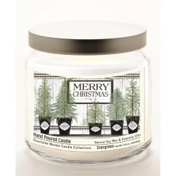Courtside Market Merry Christmas Wax Candle With Brushed Silver Lid Best