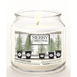 Courtside Market Merry Christmas Wax Candle With Brushed Silver Lid Best