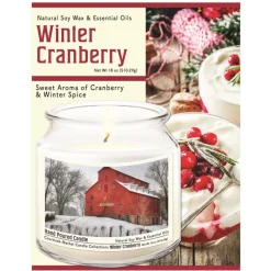 Courtside Market Soy Candle W/ Essential Oils + Lid - Snow At The Farm Discount