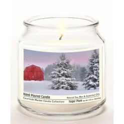 Courtside Market Tree Farm Wax Candle In Glass Jar With Silver Lid Clearance