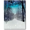 Courtside Market Winter Wonderland Canvas Wall Art Online