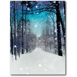Courtside Market Winter Wonderland Canvas Wall Art Online