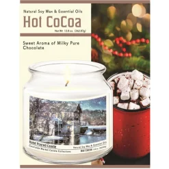 Courtside Market Winter Wonderland Infused Soy Candle In Glass Jar Best