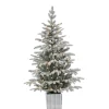 Gerson Company 4.5' Potted Lightly Flocked Iceland Fir With 70 Lights Hot