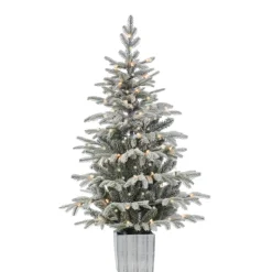 Gerson Company 4.5' Potted Lightly Flocked Iceland Fir With 70 Lights Hot