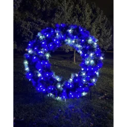 Holidaynamics Holidynamics 25 Bulb Add-On Dynamic Rgb Set