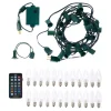 Holidaynamics Holidynamics Rgb C9 Bulb Starter Kit With Remote Outlet