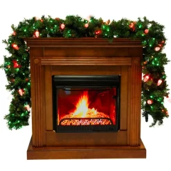 Holidaynamics Holidynamics Rgb C9 Bulb Starter Kit With Remote Outlet