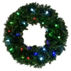 Holidaynamics Holidynamics Rgb C9 Bulb Starter Kit With Remote Outlet