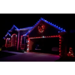 Holidaynamics Holidynamics Rgb C9 Bulb Starter Kit With Remote Outlet