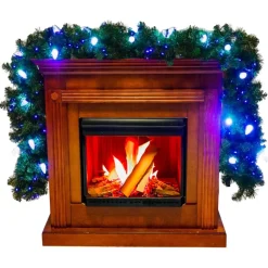 Holidaynamics Holidynamics Rgb C9 Bulb Starter Kit With Remote Outlet