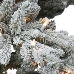 Puelo International Puleo International 6.5' Prelit Flocked Utah Fir Tree 350 Clear Lights Discount