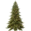Puleo International Puleo Intl. 9' Prelit Royal Fraser Fir Green Tree With Memory Tips Discount