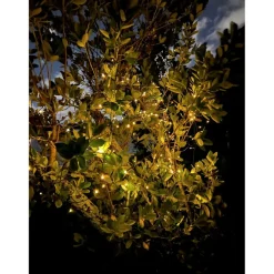 Winter Lane 150-Led Strand Of Solar-Powered Fairy Lights Outlet