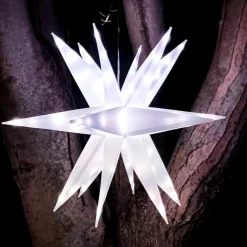 Winter Lane Multifunction 22